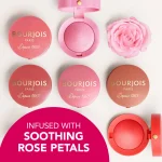 رژگونه پودری بورژوا مدل Little Round Pot حجم 2.5 گرم - Image 5