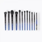 ست براش ۱۲عددی بی اچ Mystic Zodiac Constellation