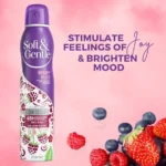 اسپری ضدتعریق زنانه Soft & Gentle مدل Berry Bliss حجم 250 میل - Image 2