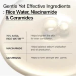 تونر برنج آنوا Rice 70+ Ceramide - Image 4