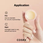 ماسک خواب لب سرامیدی کوزارکس Ceramide وزن 20گرم - Image 4