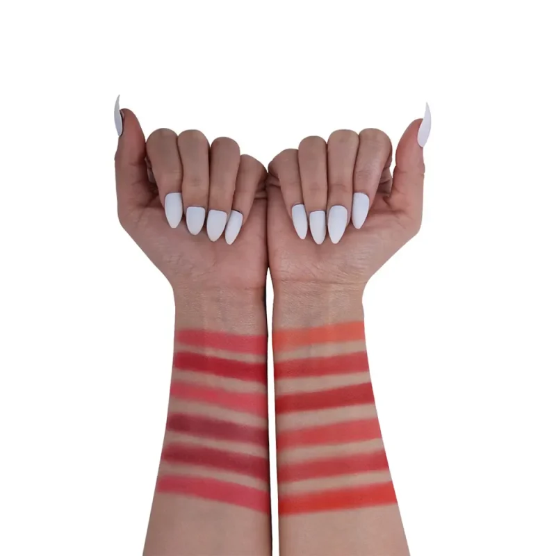 پالت رژگونه فیوچر میکاپ FU 104 - Image 3