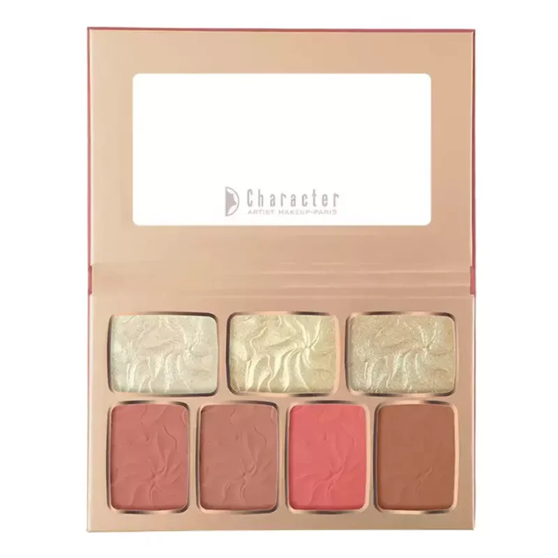 ۲ پالت رژگونه و هایلایتر کاراکتر TFD002