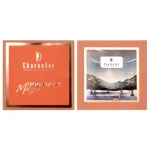 پالت صورت کاراکتر Moondust Muse 201 - Image 2