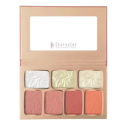 پالت رژگونه و هایلایتر کاراکتر TFD001