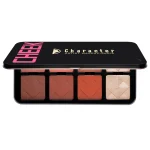 پالت رژگونه و هایلایتر کاراکتر C-A201 - Image 2